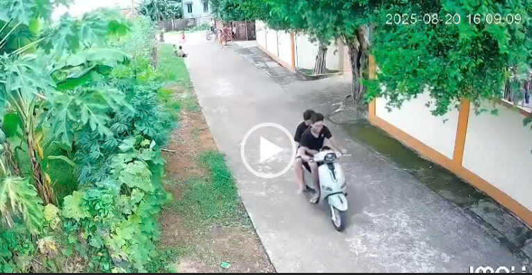 Không biết lý do nào mà đi như vậy ?